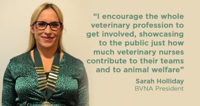 BVNA to honour 'unsung heroes' of veterinary care